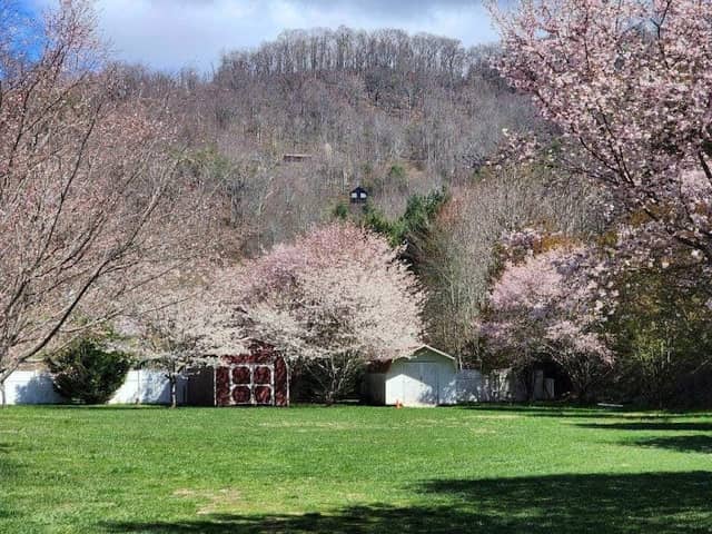 Pigeon River Campground - Image 1