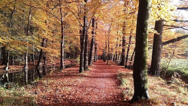 De Eilandjes - Image 2