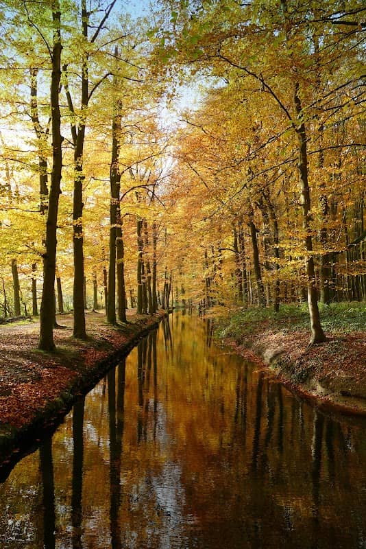 De Eilandjes - Image 1