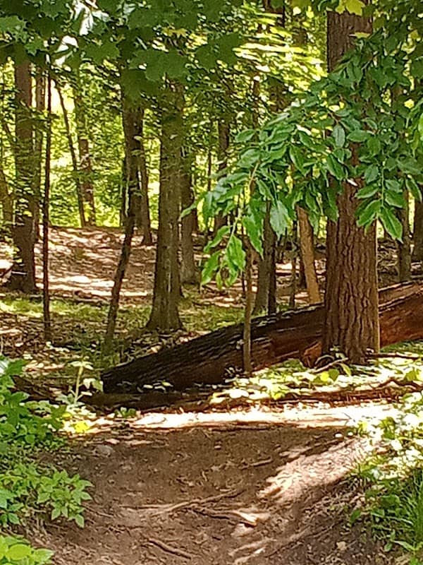 Tower Park - Image 2
