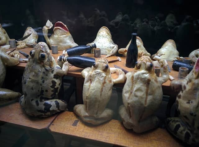 Musée d'Estavayer-le-Lac et ses grenouilles - Image 2