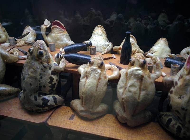 Musée d'Estavayer-le-Lac et ses grenouilles - Image 2