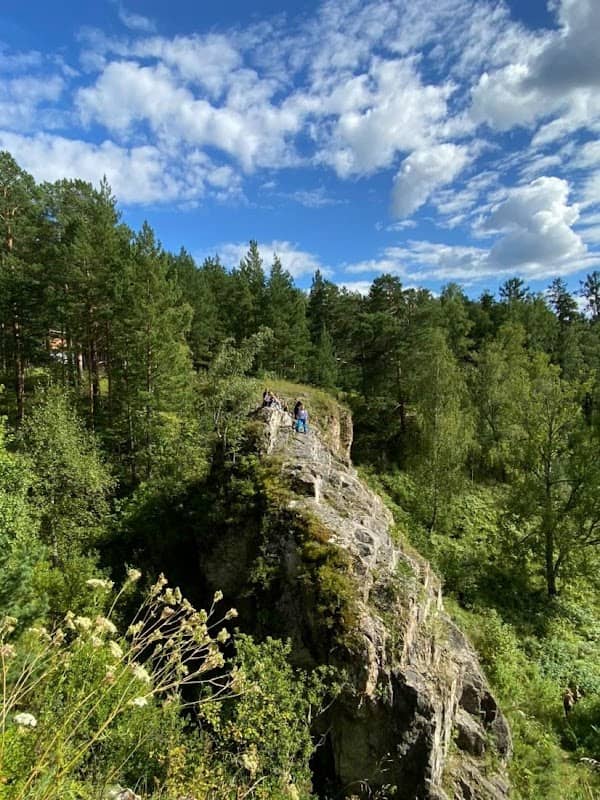 cave log - Image 1