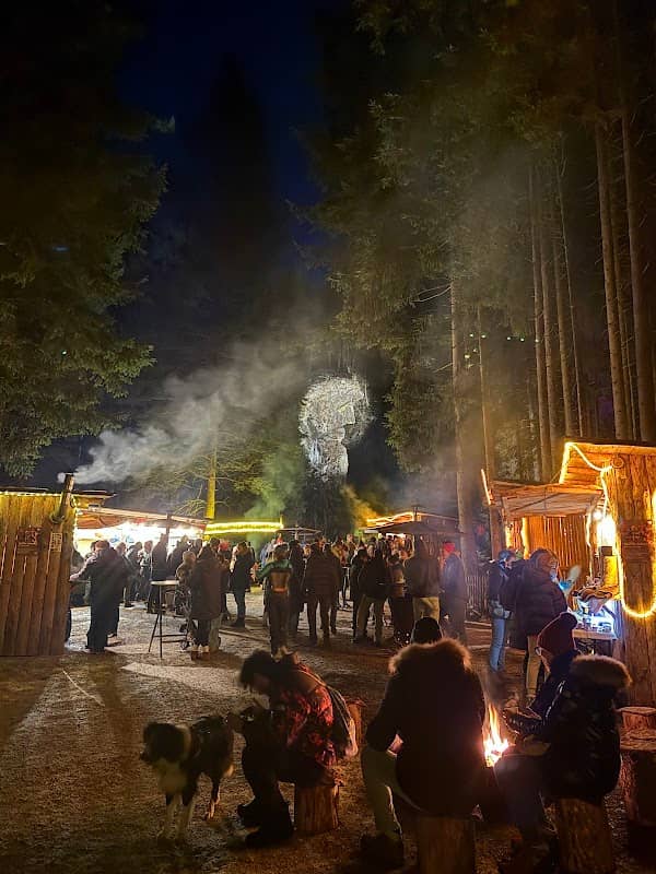 Foresta incantata - Image 2