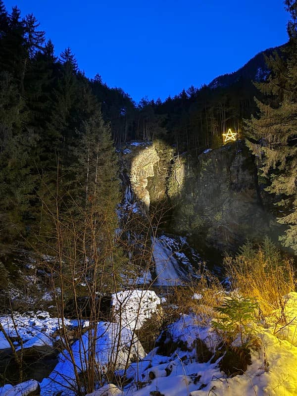 Foresta incantata - Image 3