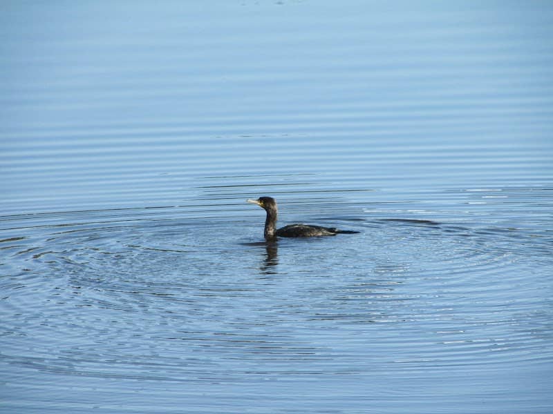 Clydeview Gallery - Image 1