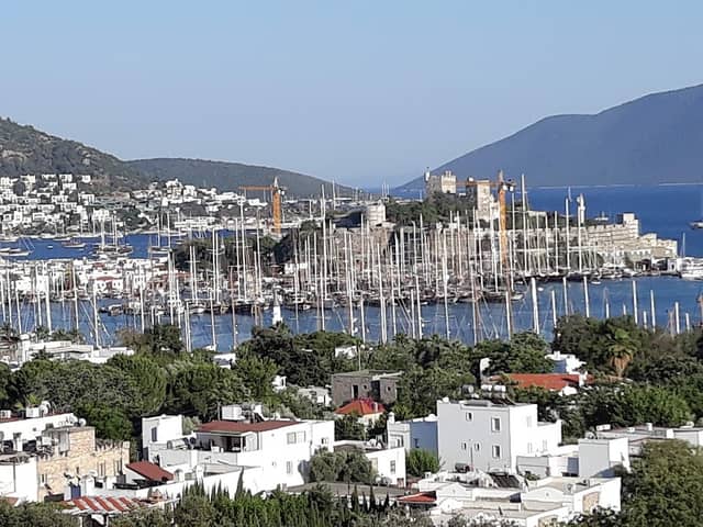 Yüksel Çağlar Hatıra Ormanı - Image 1