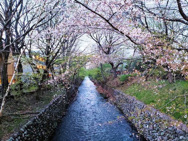 Tamagawa Aqueduct - Image 2