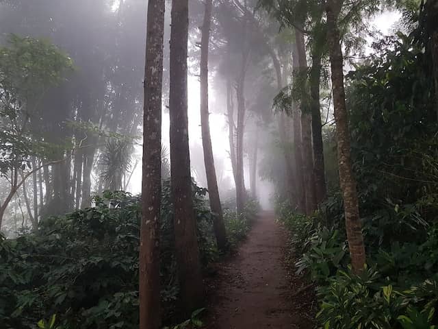 Mirador El Rincon de Carmen - Image 1