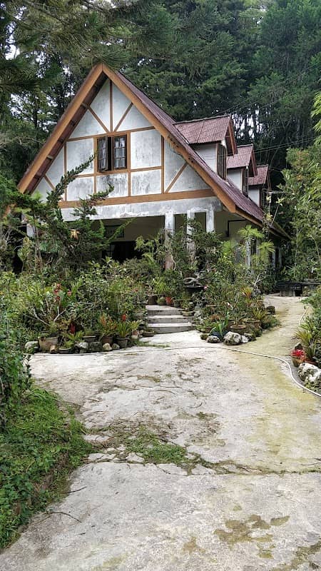 Tan's Camellia Garden - Image 2