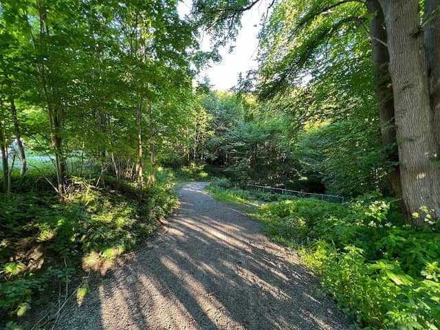 Schultz Valley - Image 1