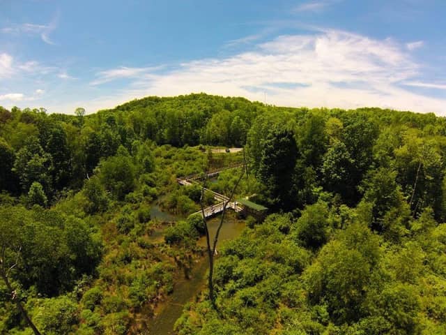New River Birding & Nature Center - Image 3