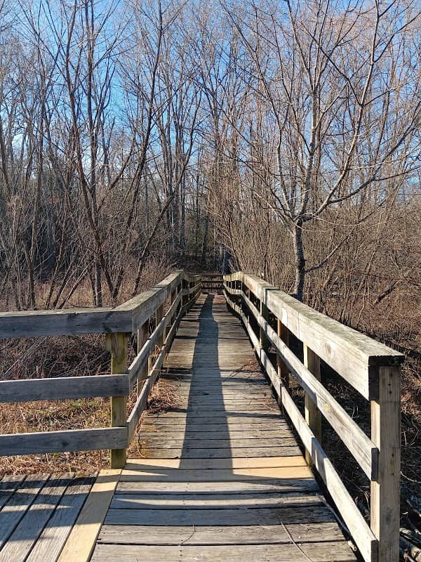 New River Birding & Nature Center - Image 1