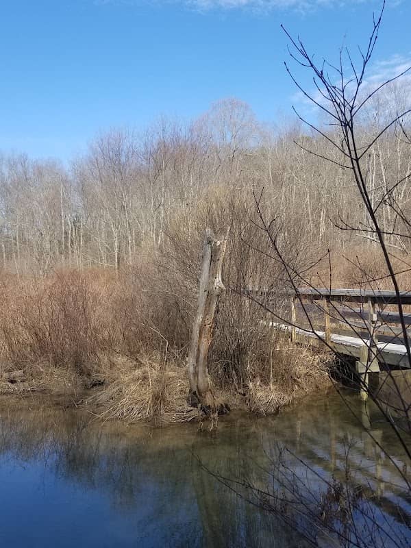 New River Birding & Nature Center - Image 2