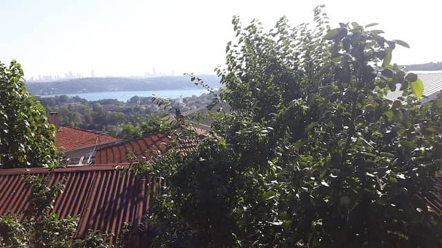 Palamar Çeşmesi Parkı - Image 1