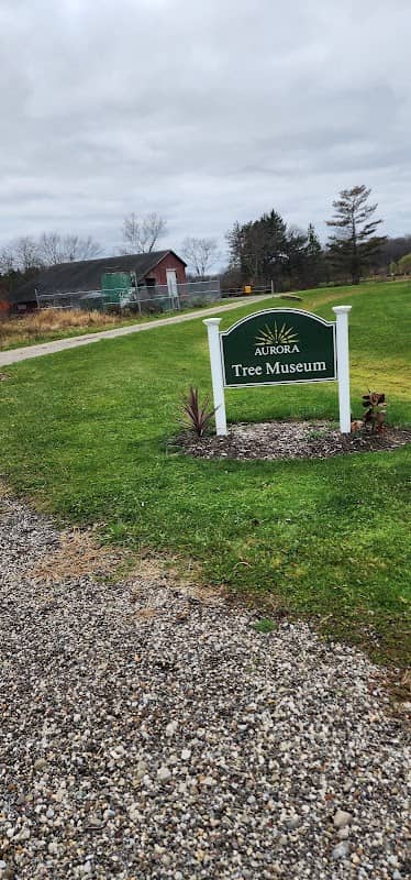 Tree Museum Aurora - Image 1