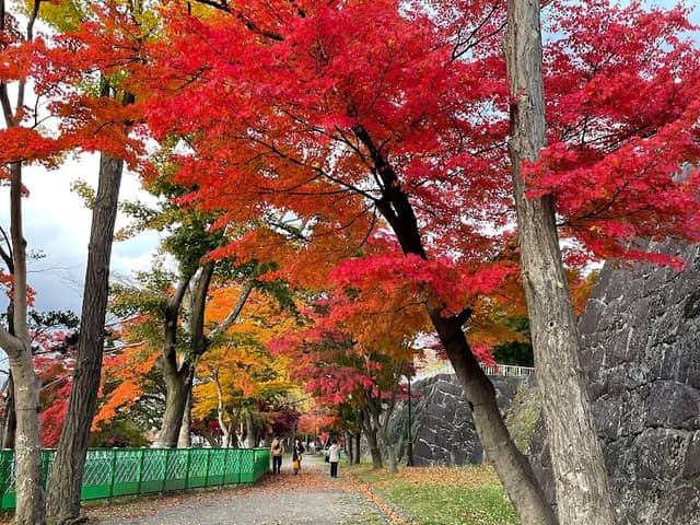 Morioka-jo Castle Site Park (Iwate Park) - Image 2