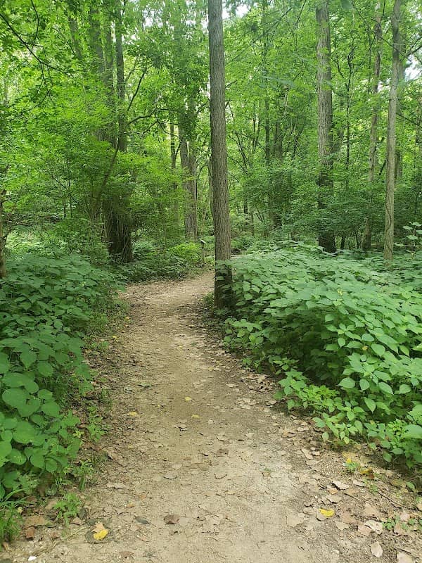 Winona Lake Trails - Image 1