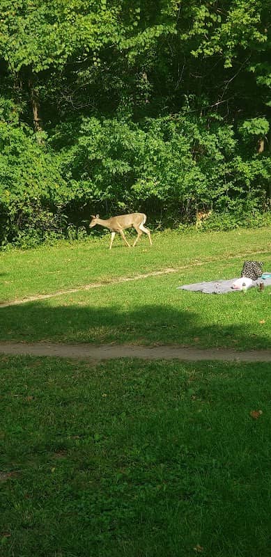Winona Lake Trails - Image 3
