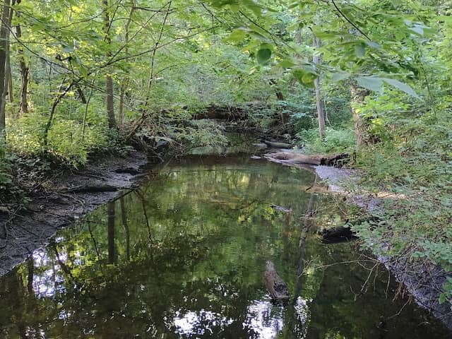 Winona Lake Trails - Image 2