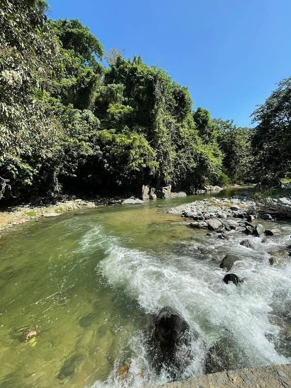 El charco del Cementerio - Image 1