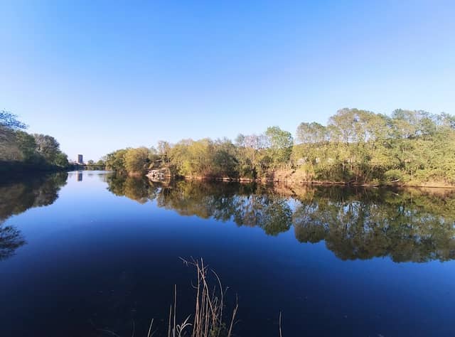 Parco Fluviale Del Po Della Pianura Torinese - Image 2