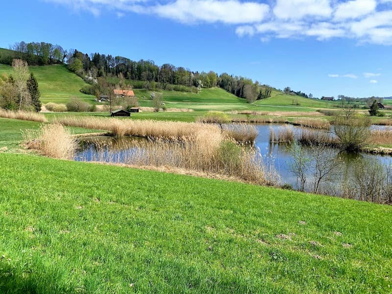 Ostergauer Weiher - Image 1
