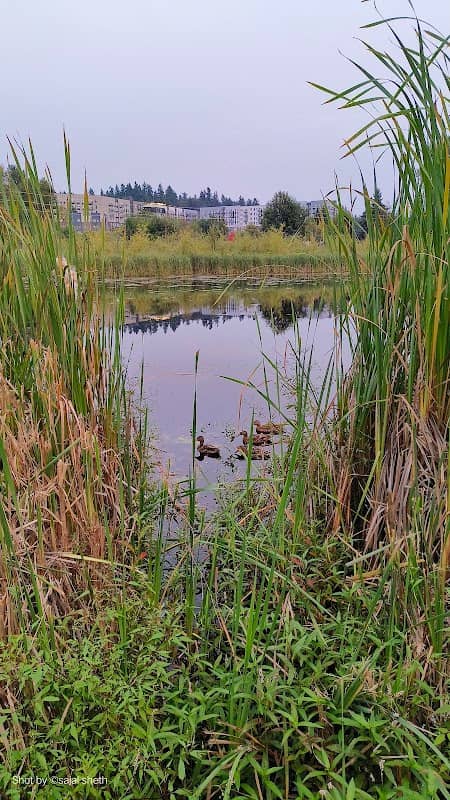 Totem Lake Viewing Point - Image 1