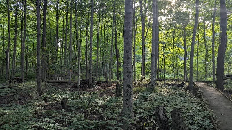 Garber Forest - Image 1