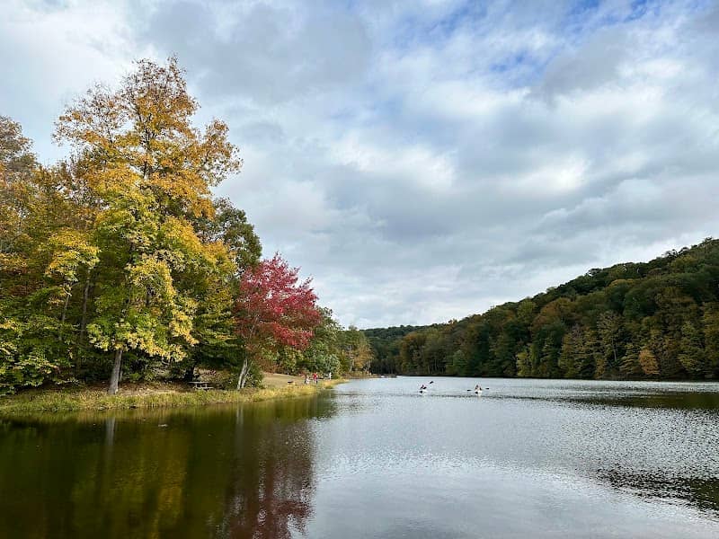 Trail 8, Brown County State Park - Image 1