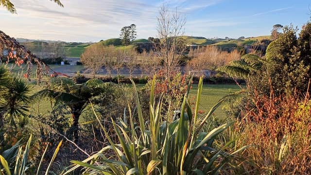 Rata Scenic Reserve - Image 2