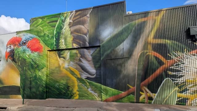 Street art (mural) - Image 1
