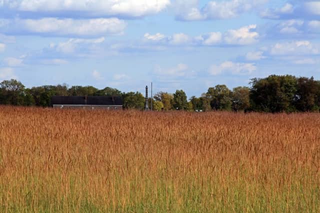 Fort Ridgely State Park - Image 2