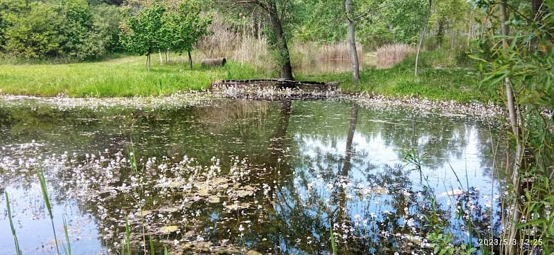 Vincsága - Image 1