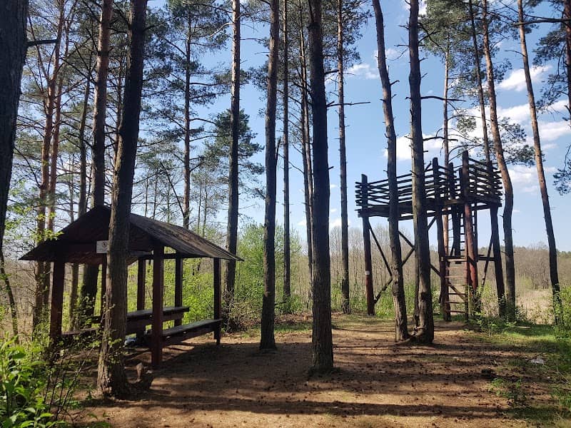 Wieża widokowa - Image 1