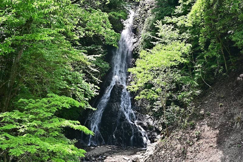 大沢の滝 - Image 2
