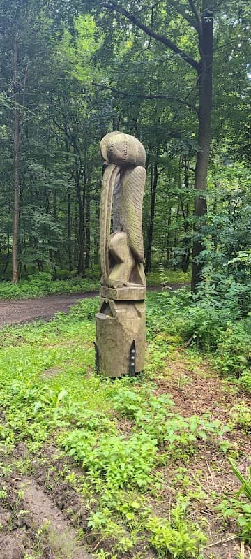 Feuervogel und Wöltjebuche Deister - Image 1