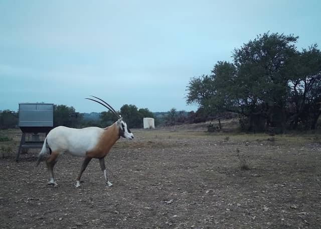 P7 Ranch - Image 1