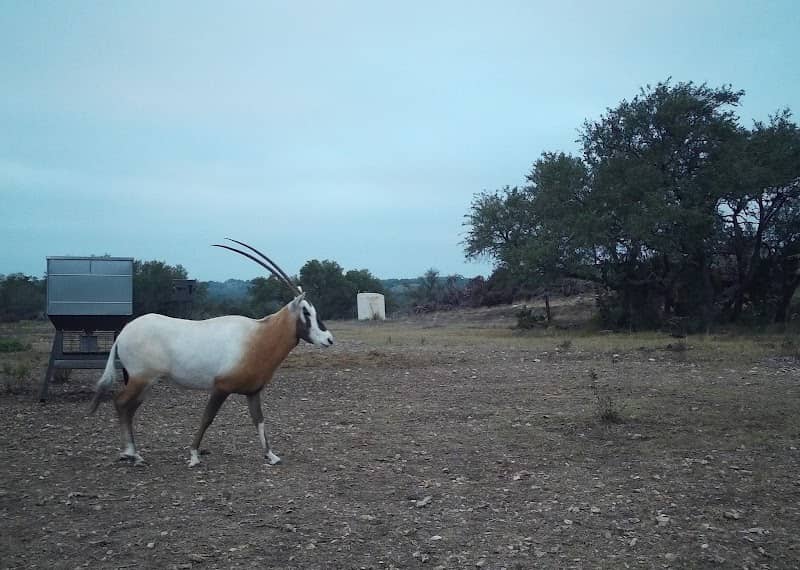 P7 Ranch - Image 1