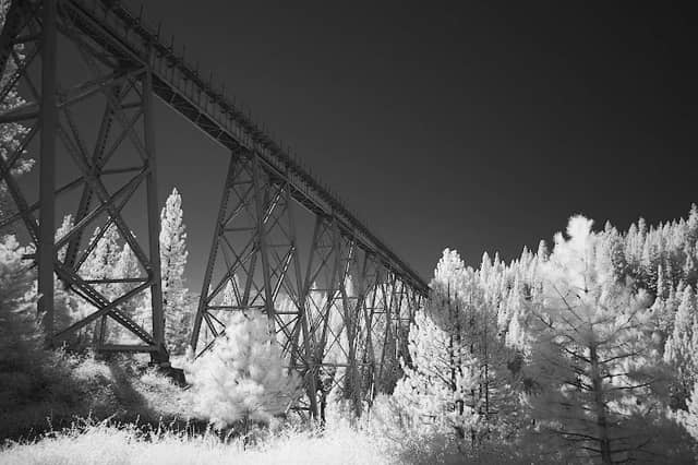 Clio Trestle - Image 2