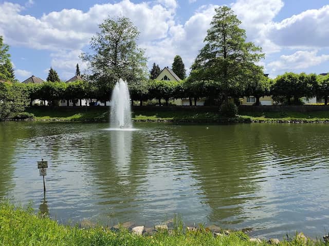Ludwig-Rehbock Park - Image 1