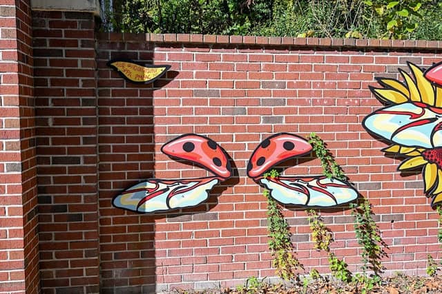 Ladybug Wings - Image 1