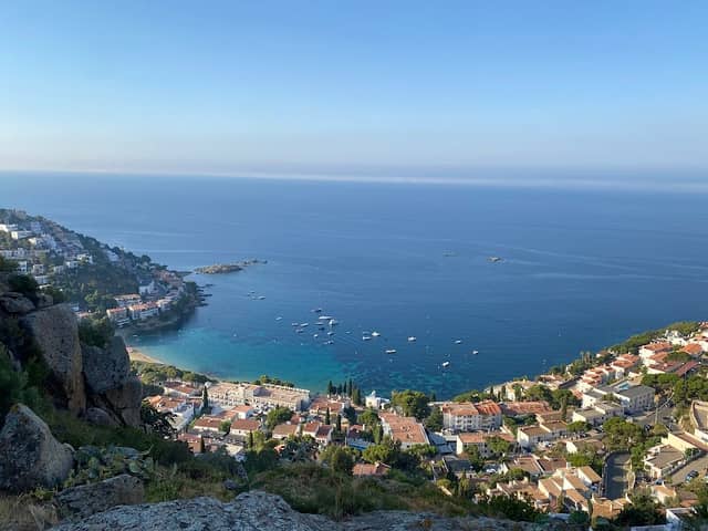 Puig Rom - Image 2