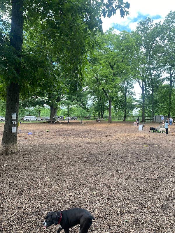 Vint Hill Dog Park - Image 3
