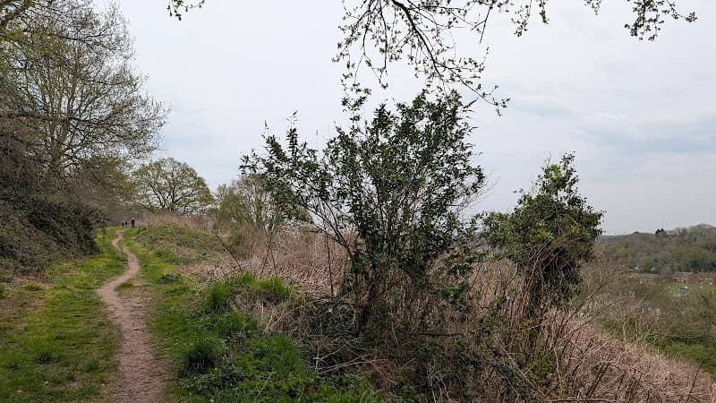 The Common - Image 1