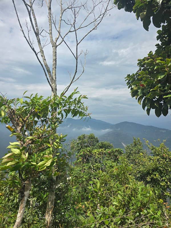 SEKH SHYONE VIEW POINT - Image 1