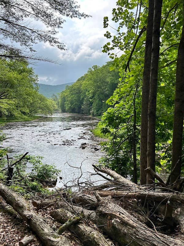 Durbin & Greenbrier Valley Railroad - Image 3