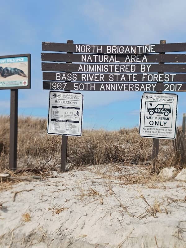 North Brigantine Natural Area - Image 3