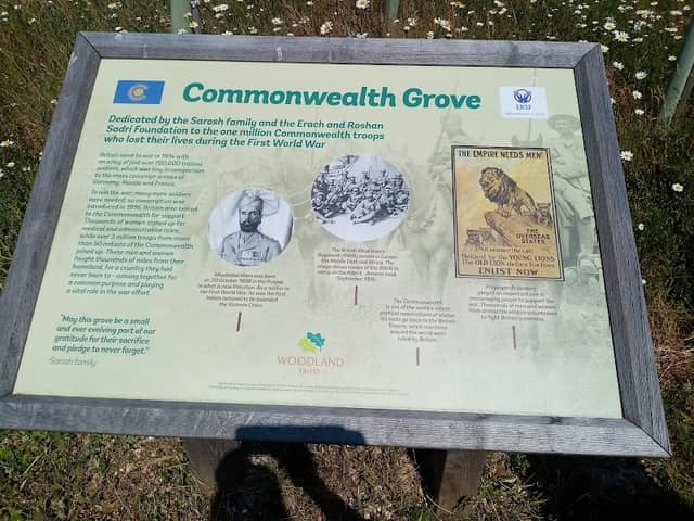 Langley Vale Centenary Wood - Image 1