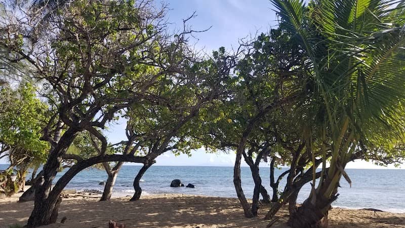 Plage de Gros Raisin - Image 3